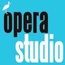 World class training in Madrid: Apply now for OPERASTUDIO 18/19 – organized by University of Alcalá